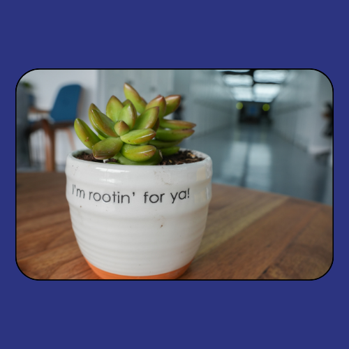 Gallery Image 14.png