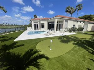 Big Dogs Artificial Turf