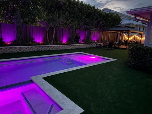 Eco-friendly and water-saving lawn solutions