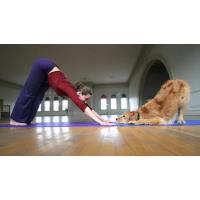 Humane Socitey of Uvalde - Find Your Inner Animal - Yoga Event 