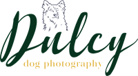 Dulcy Dog Photography