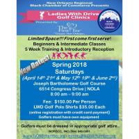 LADIES WITH DRIVE GOLF CLINICS - 2018