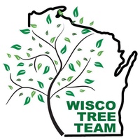 Wisco Tree Team, LLC
