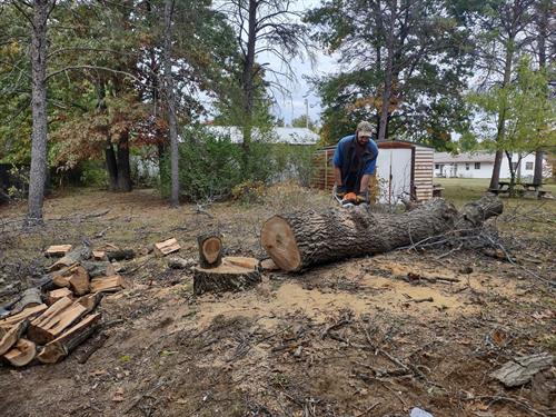 Cutting logs