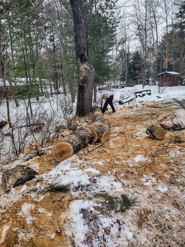 Winter cutting saves lawns!