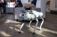 Mid-State seeks name nominations for high-tech robot dog