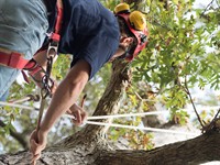 109 Mid-State apprentices receive ‘Tools of the Trade’ scholarship from Ascendium