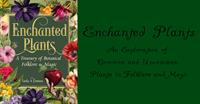 Enchanted Plants: An Exploration of Common and Uncommon Plants in Folklore and Magic