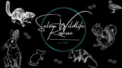Salem Wildlife Rescue