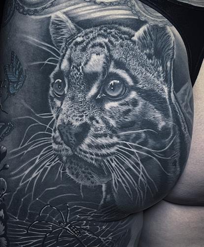 Snow leopard done by Gabe Londis