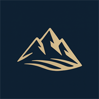 Leadership Investments LLC