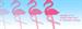 Okaloosa County Wear Pink Day!