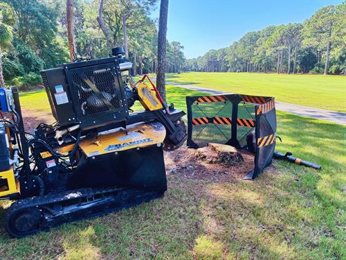Professional stump grinding by IGY6 Rooted on a Northwest Florida golf course | Safety barriers and precision equipment ensure clean, damage-free results | Serving Okaloosa, Walton, and surrounding Counties Professional stump grinding by IGY6 Rooted on a Northwest Florida golf course | Safety barriers and precision equipment ensure clean, damage-free results | Serving Okaloosa, Walton, and surrounding Counties