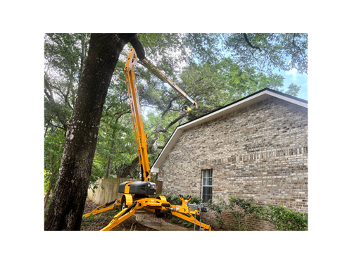 Tight spaces. Tall trees. No problem. IGY6 Rooted uses aerial lift equipment to safely remove trees close to structures. Trusted by homeowners and HOAs across Okaloosa, Walton, and surrounding Counties. Veteran owned and fully insured. Tight spaces. Tall trees. No problem. IGY6 Rooted uses aerial lift equipment to safely remove trees close to structures. Trusted by homeowners and HOAs across Okaloosa, Walton, and surrounding Counties. Veteran owned and fully insured.