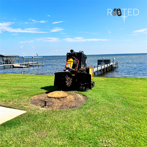 Precision stump grinding on the bay in Northwest Florida by IGY6 Rooted | Veteran owned tree service proudly serving Okaloosa, Walton, and surrounding Counties Precision stump grinding on the bay in Northwest Florida by IGY6 Rooted | Veteran owned tree service proudly serving Okaloosa, Walton, and surrounding Counties
