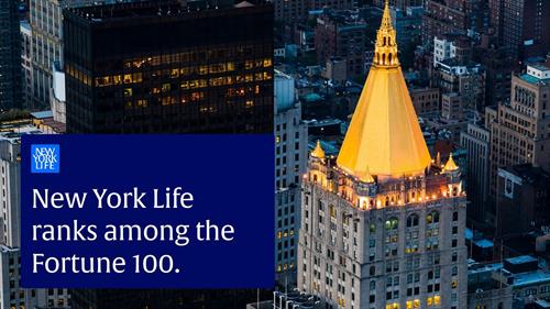 Gallery Image NYL_rank.jpg