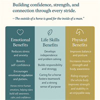 Stride Equine Therapy