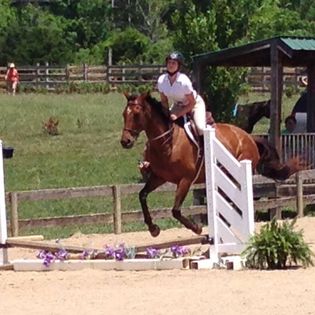 Gallery Image 10264124_10203012168238784_2739238442343458512_o.jpg