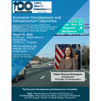 Economic Development and Infrastructure Committee