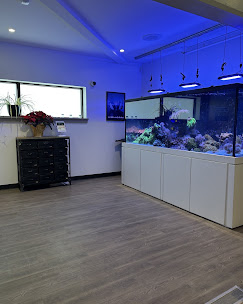 Enjoy our Aquarium as you Enter