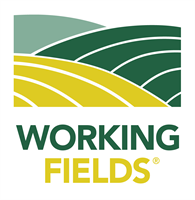 Working Fields Announces Leadership Transition