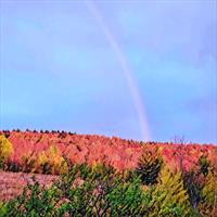 Fall Color Hike: Totem Trail