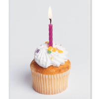 Membership Anniversary Luncheon