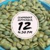 Clambake