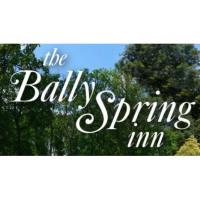 Bally Spring Inn