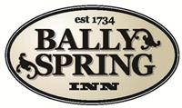 Bally Spring Inn - Barto