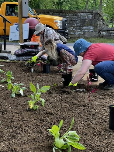 Planting a Pollinator Garden at Reading's City Park May 2024