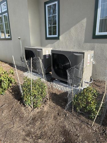 Gallery Image IMG_5424.jpeg