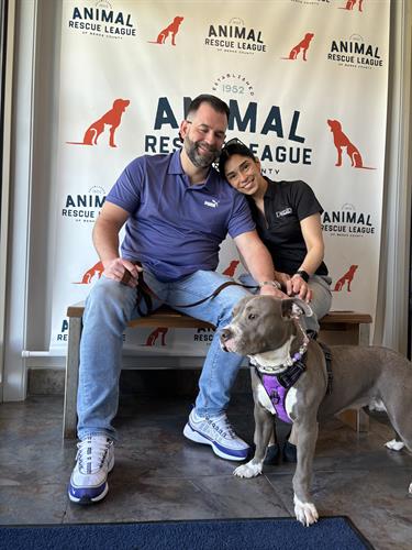 Athena, a pup who came to us with two broken front legs is fully healed and adopted!
