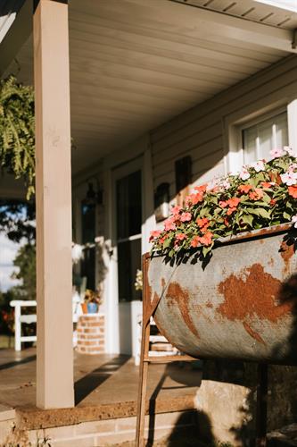 Gallery Image KaitlynHammondsPhotography_SongbirdStory-307.jpeg