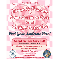 Pet Project Foundation - San Clemente