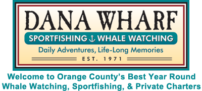 Dana Wharf Sportfishing & Whale Watching