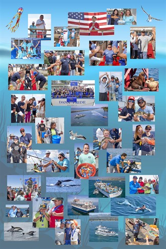 Gallery Image Picture_for_Upper_Left_Corner.jpg