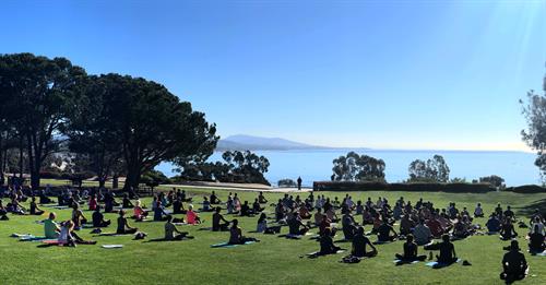 iHeartYoga in the Park - Everyday 10 AM Lantern Bay Park