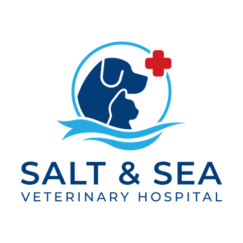 Salt & Sea Veterinary Hospital