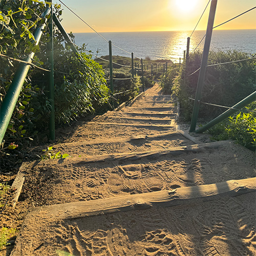 Stairs on headlands trail