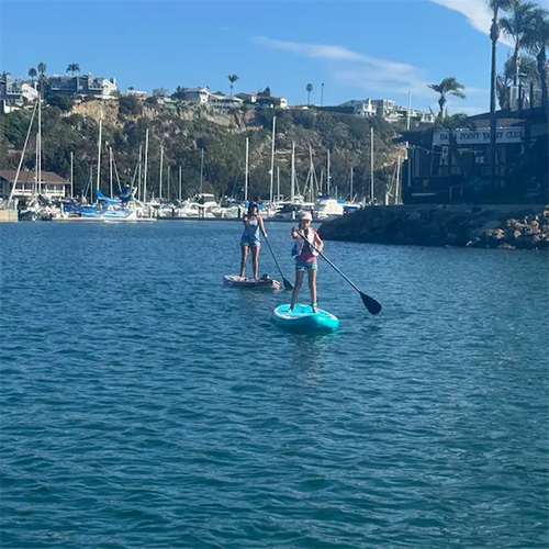 Tour guests on stand up paddleboards