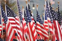 Flags flown proudly during our annual Veteran's Day Parade.