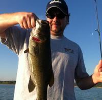 Brown bass abound in Table Rock Lake.