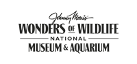 Johnny Morris' Wonders of Wildlife Museum/Aquarium Johnny Morris' Wonders of Wildlife Museum/Aquarium