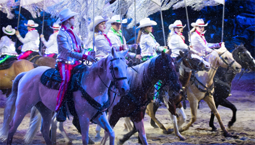 Gallery Image SMO-Horses-in-the-snow.png