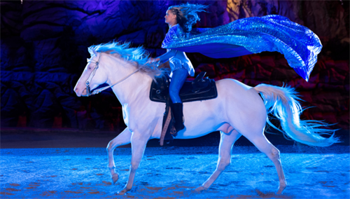 Gallery Image SMO-Performer-on-horse.png