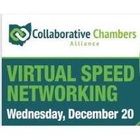 CCA Virtual Speed Networking