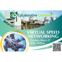 CCA Virtual Speed Networking