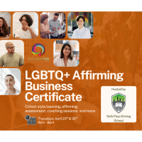Plexus Inclusion Hub LGBTQ+ Affirming Business Certification Cohort 4, Session A