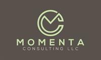 Momenta Consulting LLC